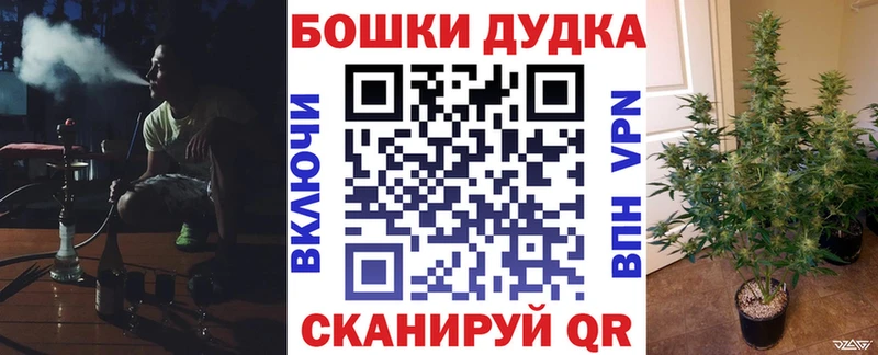  КОКАИН Суворов