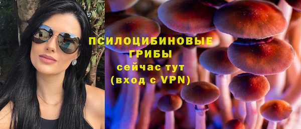 прущая мука Балахна
