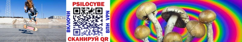 Псилоцибиновые грибы мухоморы  Суворов 