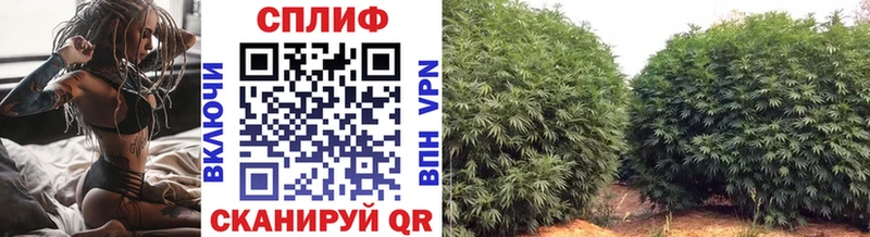 Бошки Шишки White Widow  Суворов 